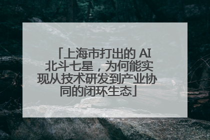 上海市打出的 AI 北斗七星，为何能实现从技术研发到产业协同的闭环生态