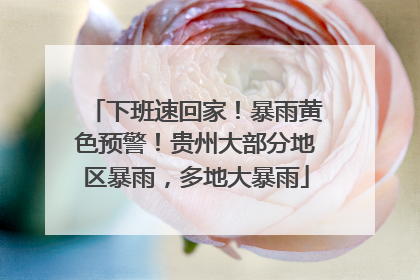 下班速回家！暴雨黄色预警！贵州大部分地区暴雨，多地大暴雨