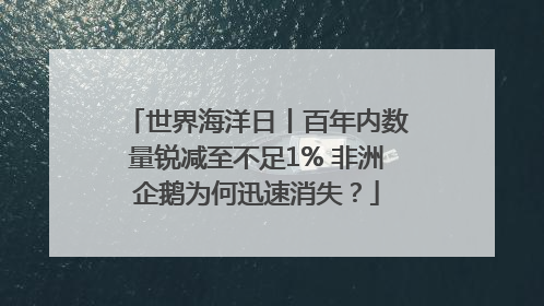 世界海洋日丨百年内数量锐减至不足1% 非洲企鹅为何迅速消失？