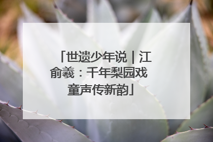 世遗少年说｜江俞羲：千年梨园戏 童声传新韵