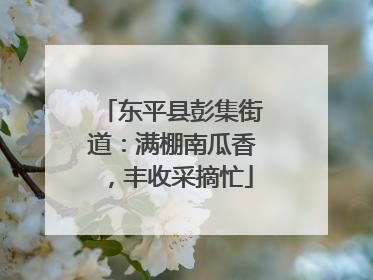 东平县彭集街道：满棚南瓜香，丰收采摘忙