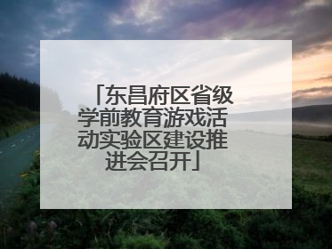 东昌府区省级学前教育游戏活动实验区建设推进会召开