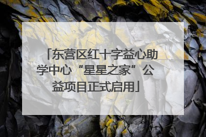 东营区红十字益心助学中心“星星之家”公益项目正式启用
