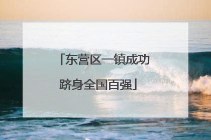 东营区一镇成功跻身全国百强