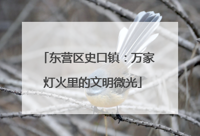 东营区史口镇：万家灯火里的文明微光
