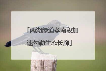 两湖绿道孝南段加速勾勒生态长廊