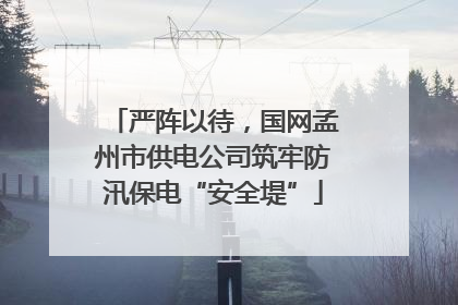 严阵以待，国网孟州市供电公司筑牢防汛保电“安全堤”