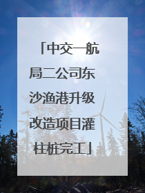 中交一航局二公司东沙渔港升级改造项目灌柱桩完工