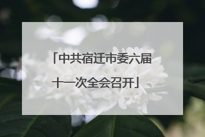 中共宿迁市委六届十一次全会召开