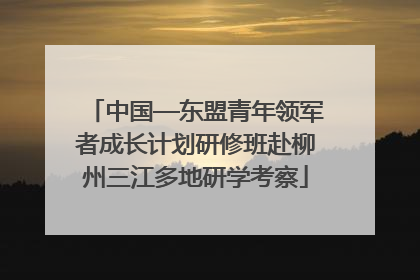 中国—东盟青年领军者成长计划研修班赴柳州三江多地研学考察