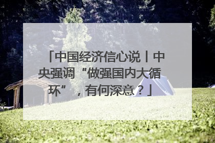 中国经济信心说丨中央强调“做强国内大循环”，有何深意？