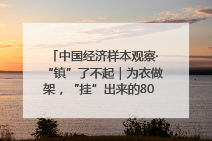 中国经济样本观察·“镇”了不起｜为衣做架，“挂”出来的80亿元“衣架产业”
