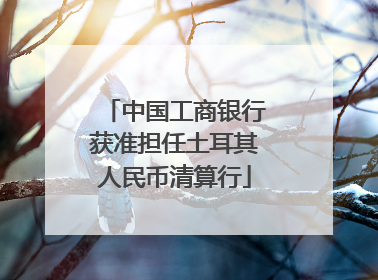 中国工商银行获准担任土耳其人民币清算行