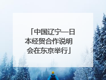 中国辽宁—日本经贸合作说明会在东京举行