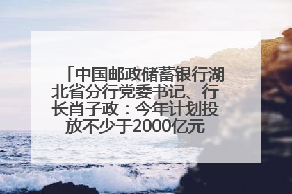 中国邮政储蓄银行湖北省分行党委书记、行长肖子政：今年计划投放不少于2000亿元支持支点建设