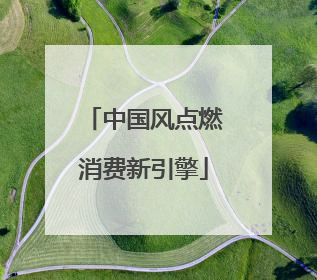 中国风点燃消费新引擎
