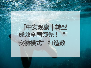 中安观察｜转型成效全国领先！“安徽模式”打造数字化转型新标杆