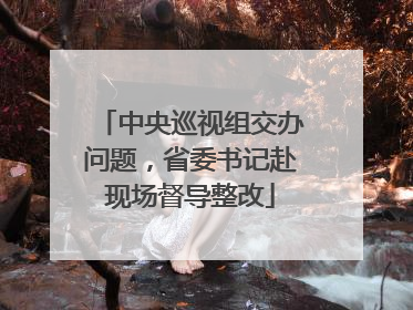 中央巡视组交办问题，省委书记赴现场督导整改