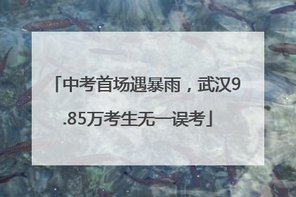 中考首场遇暴雨，武汉9.85万考生无一误考