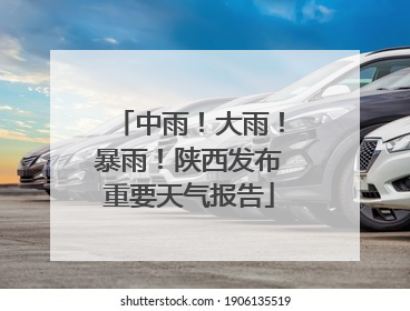 中雨！大雨！暴雨！陕西发布重要天气报告