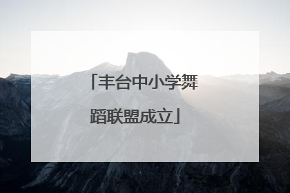 丰台中小学舞蹈联盟成立