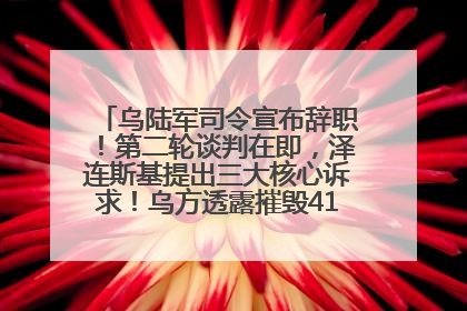 乌陆军司令宣布辞职！第二轮谈判在即，泽连斯基提出三大核心诉求！乌方透露摧毁41架俄战略轰炸机