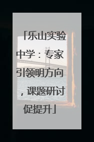 乐山实验中学：专家引领明方向，课题研讨促提升