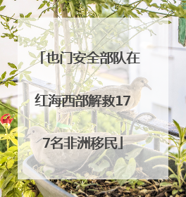 也门安全部队在红海西部解救177名非洲移民
