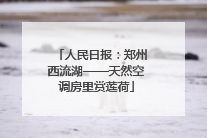 人民日报：郑州西流湖——天然空调房里赏莲荷