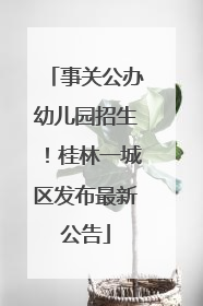 事关公办幼儿园招生！桂林一城区发布最新公告