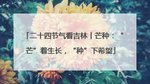 二十四节气看吉林丨芒种：“芒”着生长，“种”下希望
