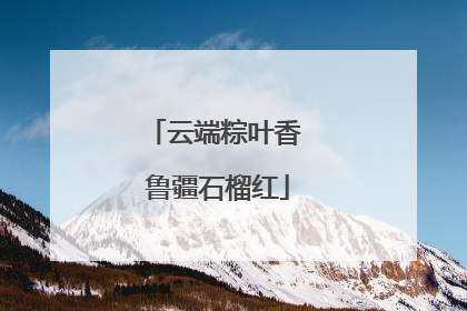 云端粽叶香 鲁疆石榴红