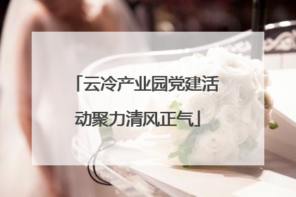 云冷产业园党建活动聚力清风正气