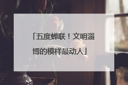 五度蝉联！文明淄博的模样最动人