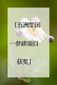 五洲集团一参建项目获奖