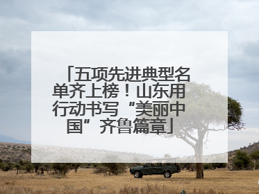 五项先进典型名单齐上榜！山东用行动书写“美丽中国”齐鲁篇章