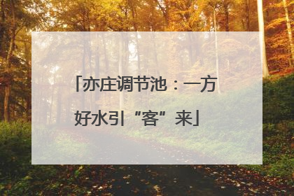 亦庄调节池：一方好水引“客”来