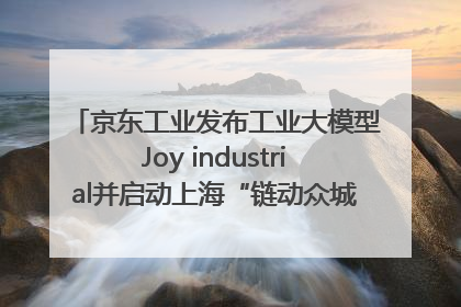 京东工业发布工业大模型Joy industrial并启动上海“链动众城 万亿降本”计划