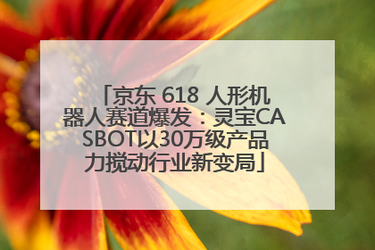 京东 618 人形机器人赛道爆发：灵宝CASBOT以30万级产品力搅动行业新变局