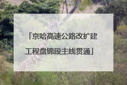 京哈高速公路改扩建工程盘锦段主线贯通