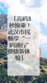 亮码3秒换乘！武汉市民畅享“一码通行”便捷新体验