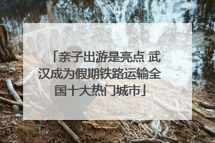 亲子出游是亮点 武汉成为假期铁路运输全国十大热门城市