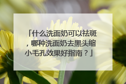 什么洗面奶可以祛斑，哪种洗面奶去黑头缩小毛孔效果好指南？