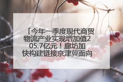 今年一季度现代商贸物流产业实现增加值205.7亿元！廊坊加快构建链接京津冀面向全世界的物流通道