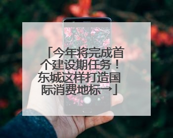 今年将完成首个建设期任务！东城这样打造国际消费地标→