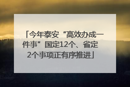 今年泰安“高效办成一件事”国定12个、省定2个事项正有序推进