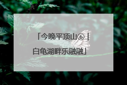 今晚平顶山⑥｜白龟湖畔乐融融
