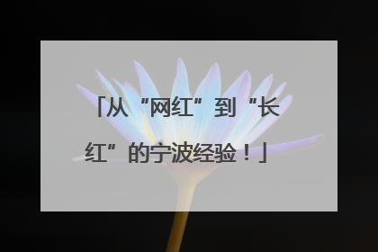 从“网红”到“长红”的宁波经验！