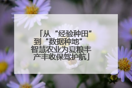 从“经验种田”到“数据种地” 智慧农业为夏粮丰产丰收保驾护航