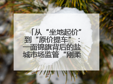 从“坐地起价”到“原价提车”：一面锦旗背后的盐城市场监管“刚柔并济”